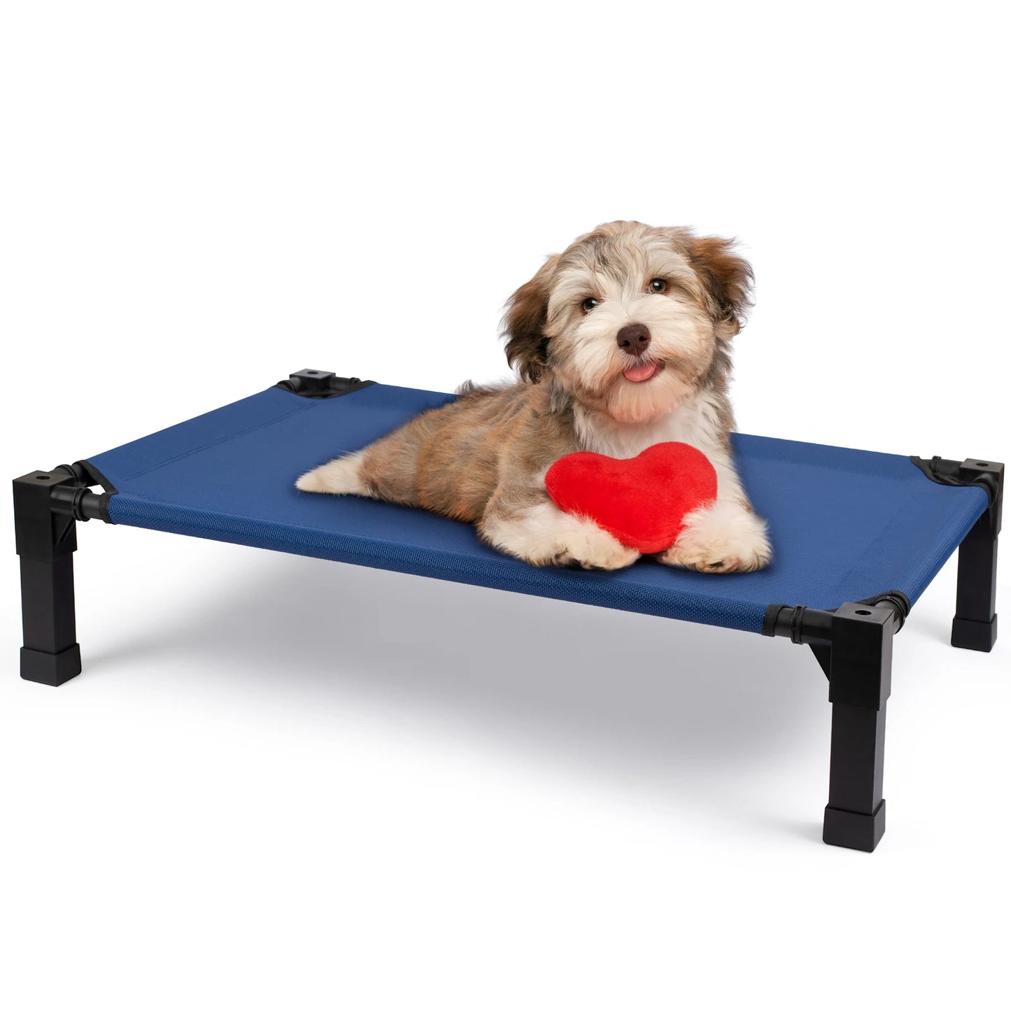 Elevated Dog Bed With Metal Frame Chew Proof Breathable Washable Mesh