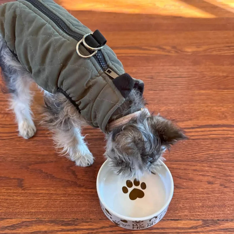 I Love Dogs Dish -Round Ceramic Food/Bowl with High Walls Pets, Dishwasher Safe, Small Dogs, Cats, Reptiles,