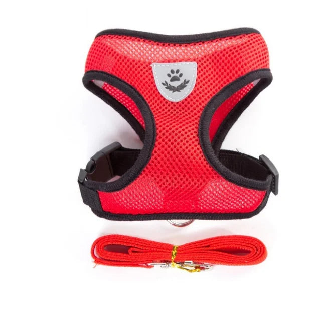 Adjustable Mesh Cat And Dog Harness With Leash Reflective