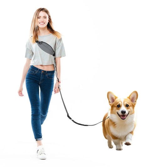NONECN Crossbody Hands Free Dog Leash With Pouch Reflective
