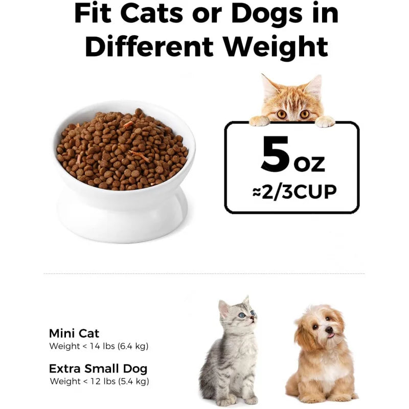 Elevated Food Bowl, 5 Oz Ceramic Raised and Tilted Bowl, Anti Vomiting and Protect Pets' Spines Dishes Small Dog,