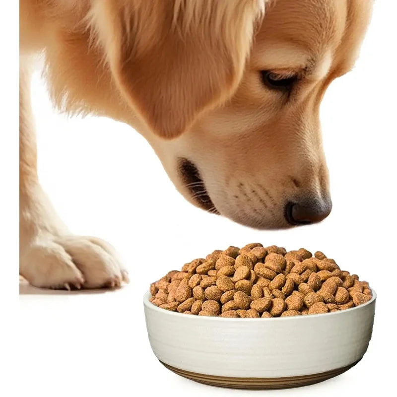 Ceramic Dog Bowl, Gift Your Pet, Medium/Food Bowl, Microwave and Dishwasher Safe