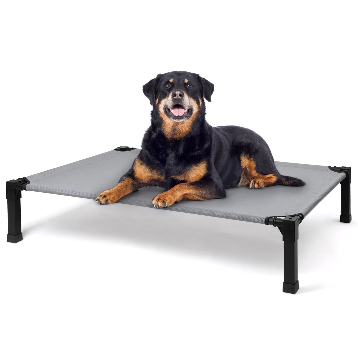 Elevated Dog Bed With Metal Frame Chew Proof Breathable Washable Mesh