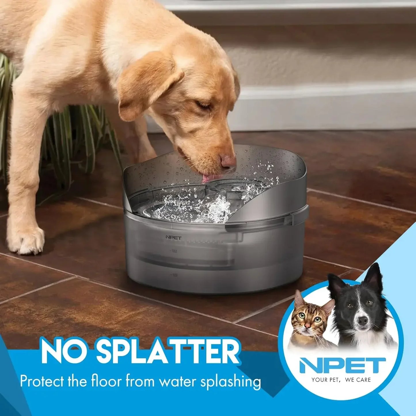 DF10-SG Dog Water Fountain Automatic With Splatter Guard