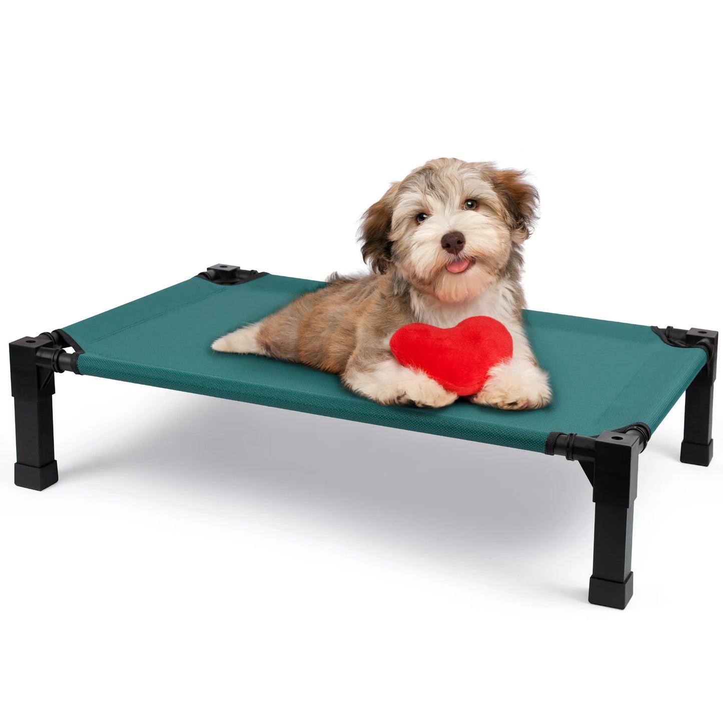 Elevated Dog Bed With Metal Frame Chew Proof Breathable Washable Mesh