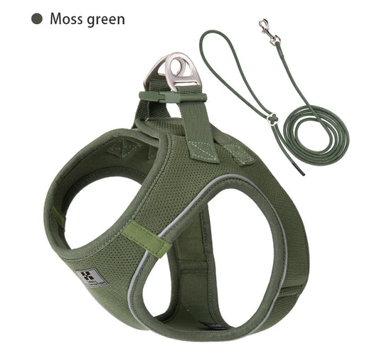 Adjustable Reflective Dog Harness Leash Set for Walking