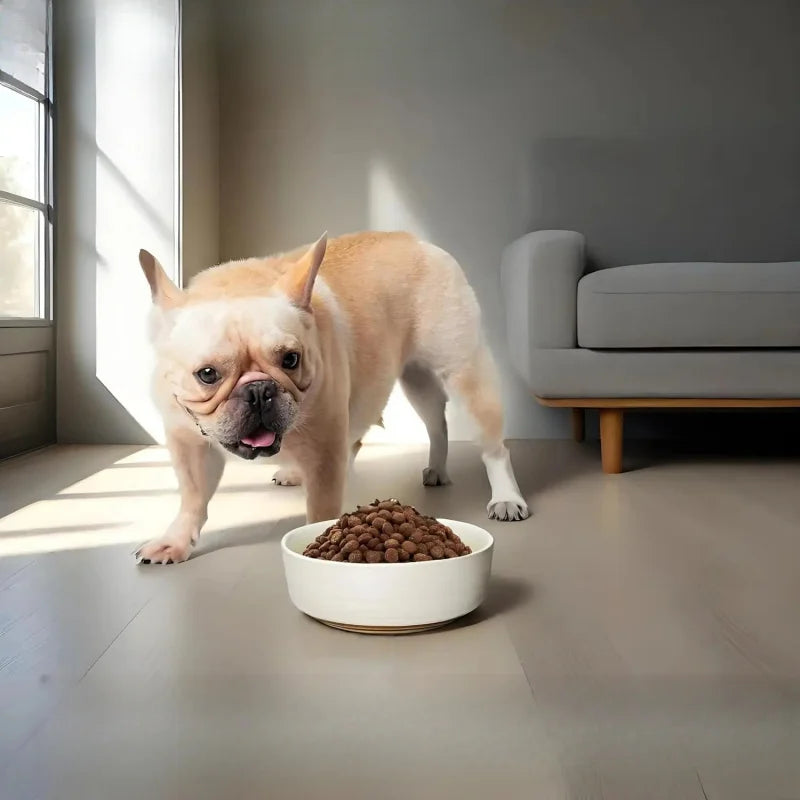 Ceramic Dog Bowl, Gift Your Pet, Medium/Food Bowl, Microwave and Dishwasher Safe