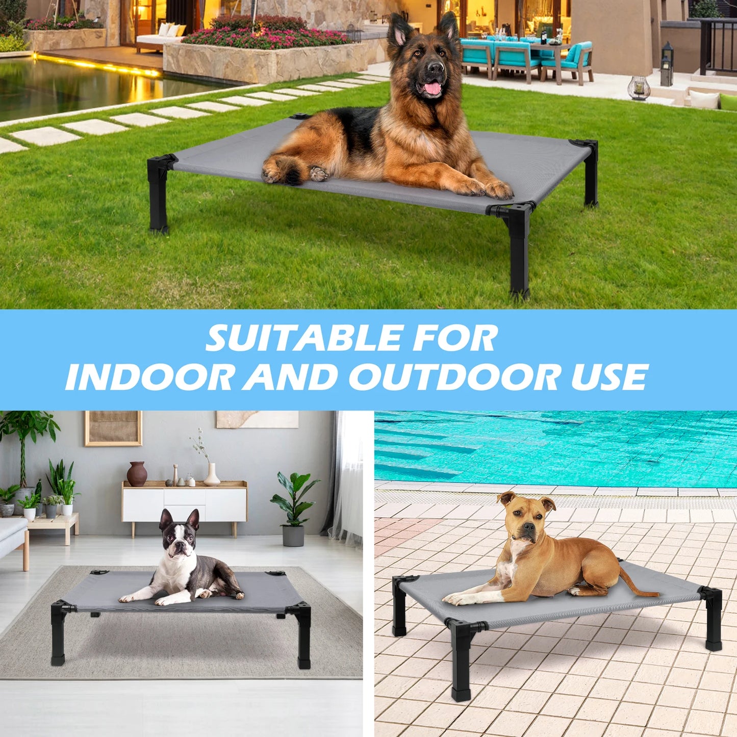 Elevated Dog Bed With Metal Frame Chew Proof Breathable Washable Mesh