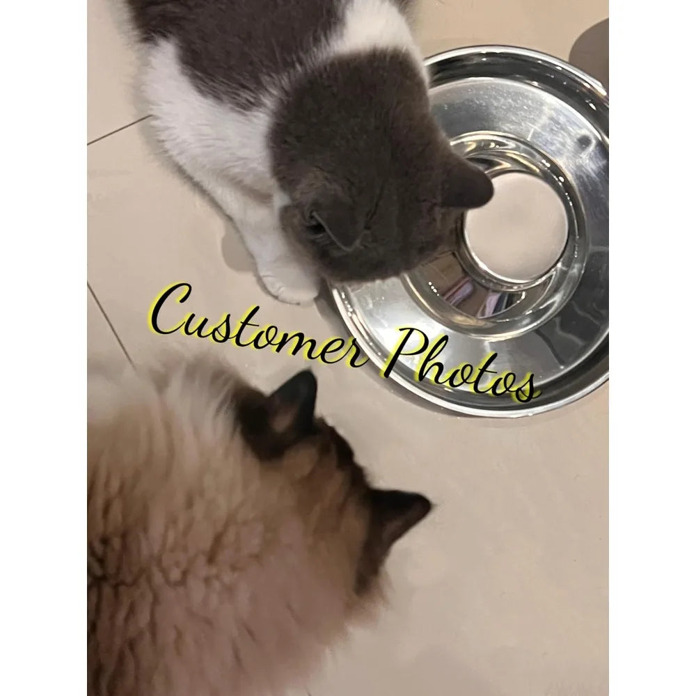 Stainless Steel Puppy Weaning Bowls with Non-Slip Mat Set, Shallow Bowls Feeder for Puppies and Kittens, Food and Water Feeding