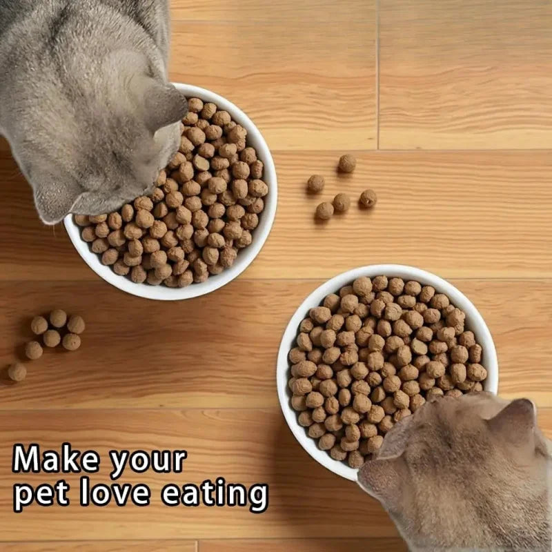 Ceramic Dog Bowl, Gift Your Pet, Medium/Food Bowl, Microwave and Dishwasher Safe