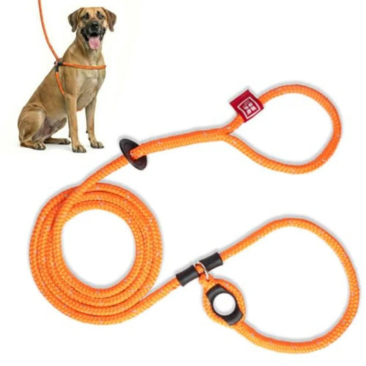 NONECN No Pull Dog Harness and Leash Set Cushioned Comfort