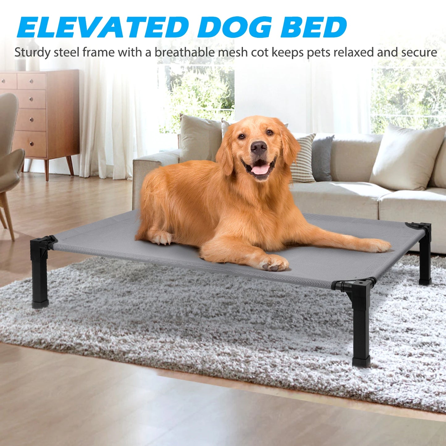 Elevated Dog Bed With Metal Frame Chew Proof Breathable Washable Mesh