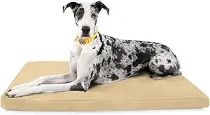 Tough Rip-Stop Orthopedic Dog Bed - Durable, Removable, Washable Cover, Kennel Pad Fits in Crate, Medium 35"x22", Light Gray Ve