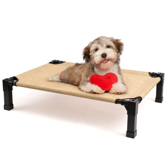 Elevated Dog Bed With Metal Frame Chew Proof Breathable Washable Mesh