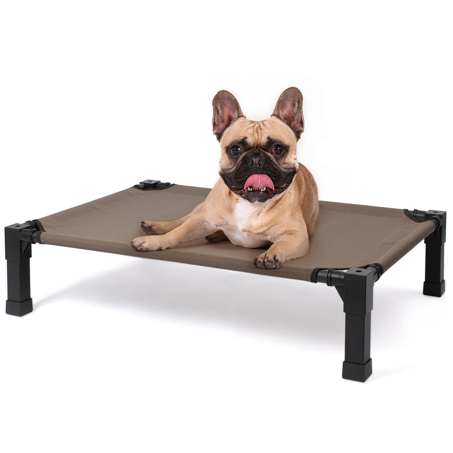 Elevated Dog Bed With Metal Frame Chew Proof Breathable Washable Mesh