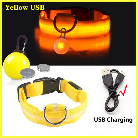NONECN USB Glowing Dog Collar With Pendant LED Light