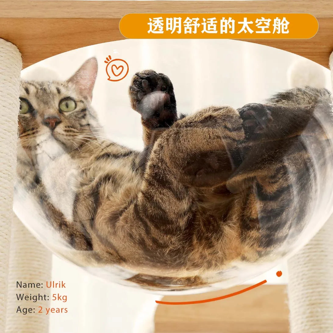 Modern Cat Tree for Large Cat Wood Cat Tower Heavy Duty with Scratch Post for Indoor Big Cats Cat Condo Sturdy Frisco Castle