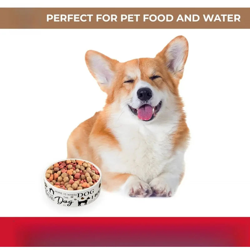 I Love Dogs Dish -Round Ceramic Food/Bowl with High Walls Pets, Dishwasher Safe, Small Dogs, Cats, Reptiles,