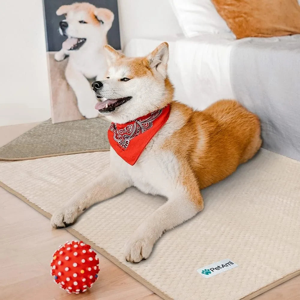 Waterproof Dog Blanket, Leakproof Puppy Blanket for Small Medium Dog, Furniture Sofa Couch Cover Protector, Fleece Pet Throw In